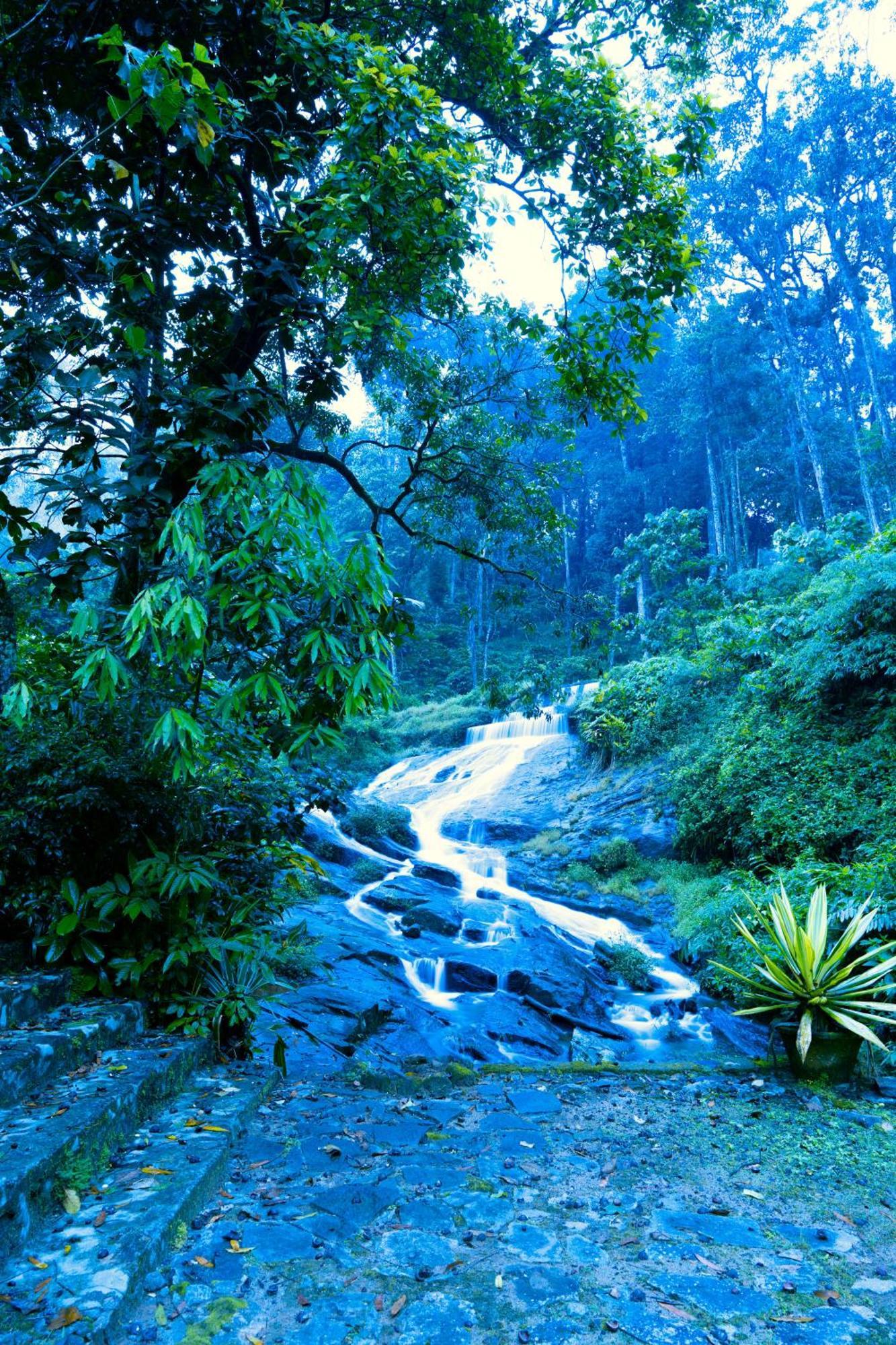 Falling Waters มุนนาร์ ภายนอก รูปภาพ