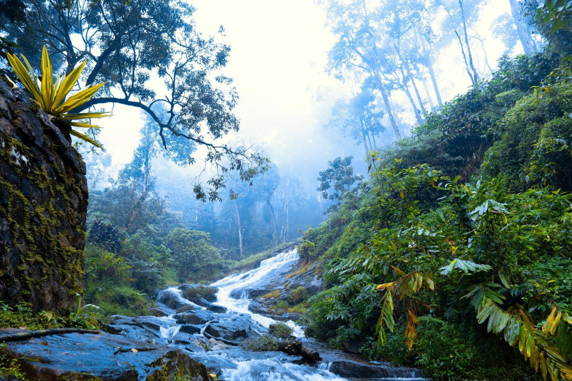 Falling Waters มุนนาร์ ภายนอก รูปภาพ