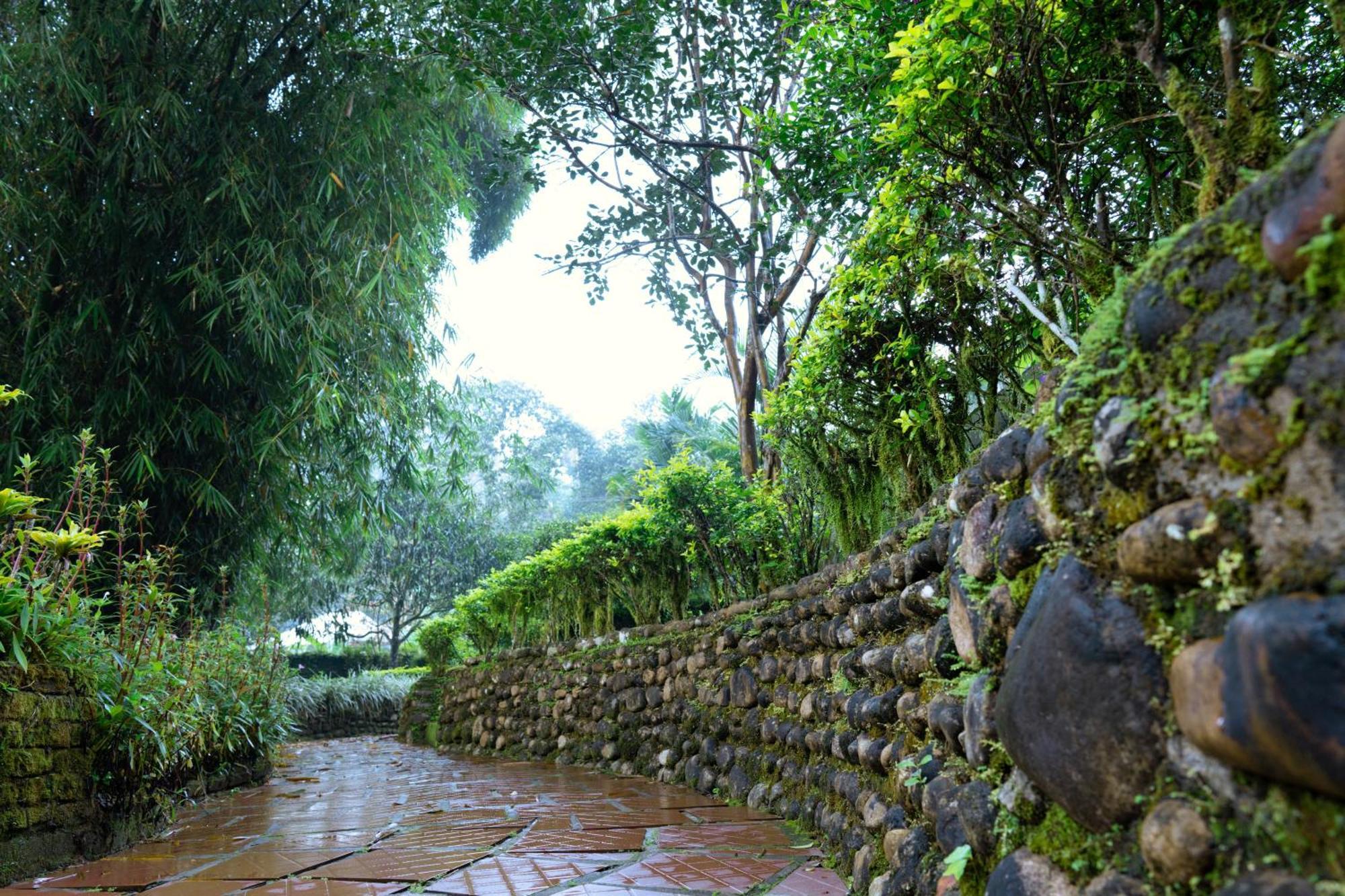 Falling Waters มุนนาร์ ภายนอก รูปภาพ